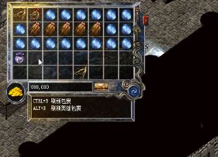 在新的1.76精品传奇SF中，法师想要什