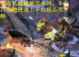 传奇私服最新发布网：小白也能快速上手的极品攻略