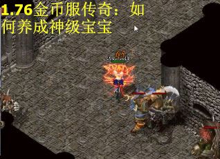 1.76金币服传奇：如何养成神级宝宝