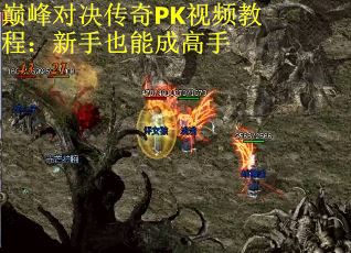 巅峰对决传奇PK视频教程：新手也能成高手