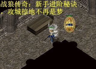 战狼传奇：新手进阶秘诀，攻城掠地不再是梦