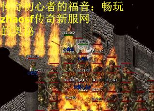 传奇初心者的福音：畅玩zhaosf传奇新服网的奥秘