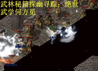 武林秘籍探幽寻踪：绝世武学何方觅