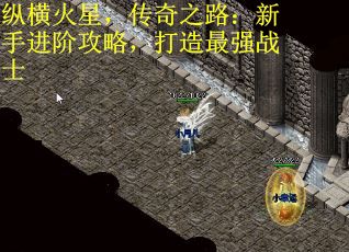 纵横火星，传奇之路：新手进阶攻略，打造最强战士