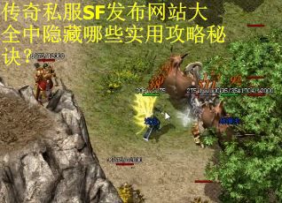 传奇私服SF发布网站大全中隐藏哪些实用攻略秘诀？