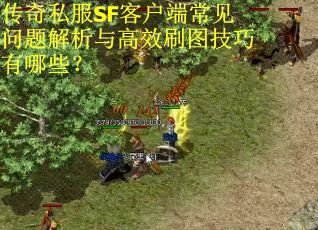 传奇私服SF客户端常见问题解析与高效刷图技巧有哪些？