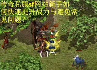 传奇私服sf网站新手如何快速提升战力与避免常见问题？