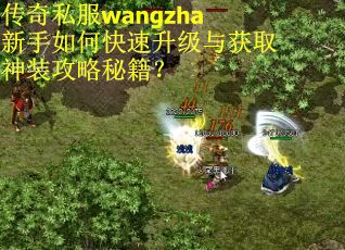 传奇私服wangzha新手如何快速升级与获取神装攻略秘籍？