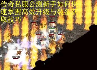 传奇私服公测新手如何快速掌握高效升级与装备获取技巧？