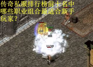 传奇私服排行榜前十名中哪些职业组合最适合新手玩家？