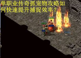 单职业传奇抓宠物攻略如何快速提升捕捉效率? 单职业传奇抓宠物攻略如何快速提升捕捉效率?