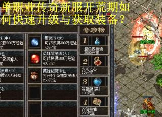 单职业传奇新服开荒期如何快速升级与获取装备？