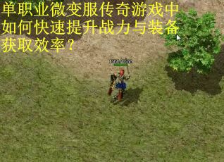 单职业微变服传奇游戏中如何快速提升战力与装备获取效率？