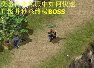 变态传奇私服中如何快速升级并秒杀终极BOSS？