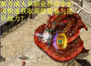新开成人单职业传奇中如何快速获取高级装备与提升战力？