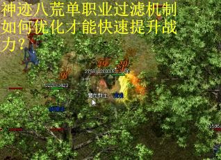 神迹八荒单职业过滤机制如何优化才能快速提升战力? 神迹八荒单职业过滤机制如何优化才能快速提升战力?