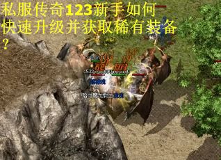 私服传奇123新手如何快速升级并获取稀有装备? 私服传奇123新手如何快速升级并获取稀有装备?