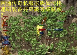 网通传奇私服家族如何快速刷装备并突破等级瓶颈?