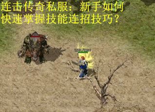 连击传奇私服:新手如何快速掌握技能连招技巧? 连击传奇私服:新手如何快速掌握技能连招技巧?