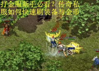 打金服新手必看?传奇私服如何快速刷装备与金币
