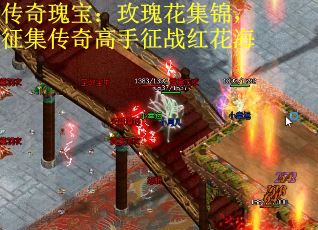 传奇瑰宝：玫瑰花集锦，征集传奇高手征战红花海