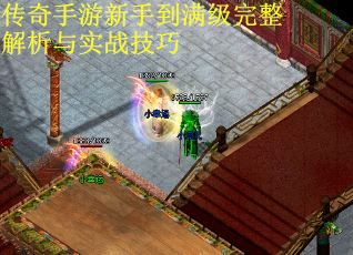 传奇手游新手到满级完整解析与实战技巧