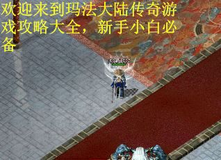 欢迎来到玛法大陆传奇游戏攻略大全，新手小白必备