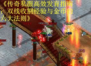 《传奇私服高效发育指南：双线收割经验与金币的六大法则》