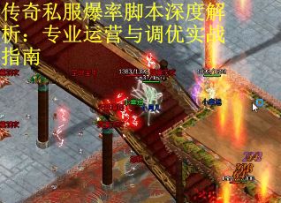 传奇私服爆率脚本深度解析：专业运营与调优实战指南