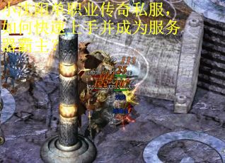 小沈阳单职业传奇私服，如何快速上手并成为服务器霸主？