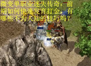 微变单职业迷失传奇：前期如何快速发育打金，有哪些不为人知的技巧吗？