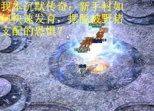 我本沉默传奇：新手村如何快速发育，摆脱被野猪支配的恐惧？