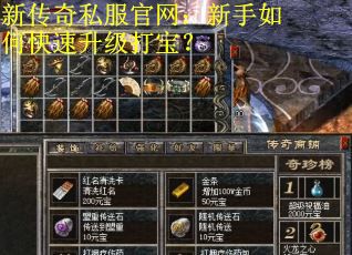 新传奇私服官网：新手如何快速升级打宝？