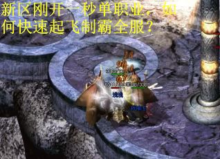 新区刚开一秒单职业，如何快速起飞制霸全服？