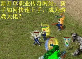 新开单职业传奇网站：新手如何快速上手，成为游戏大佬？