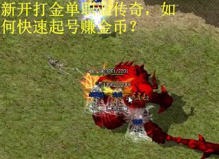 新开打金单职业传奇，如何快速起号赚金币？