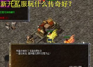 新开私服玩什么传奇好？