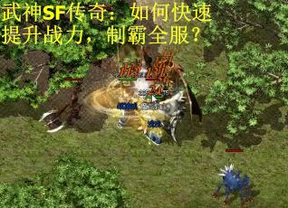 武神SF传奇：如何快速提升战力，制霸全服？