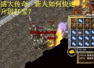 盛大传奇：新人如何快速升级打宝？