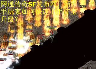 网通传奇SF发布网，新手玩家如何快速上手打宝升级？