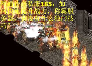 网通传奇私服185：如何快速提升战力，称霸服务器，有没有什么独门技巧？