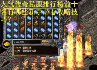 人气传奇私服排行榜前十名有哪些新手必看攻略技巧？