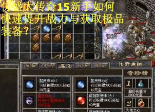 仿盛大传奇15新手如何快速提升战力与获取极品装备？