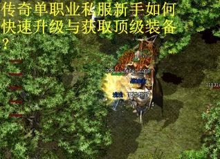 传奇单职业私服新手如何快速升级与获取顶级装备？