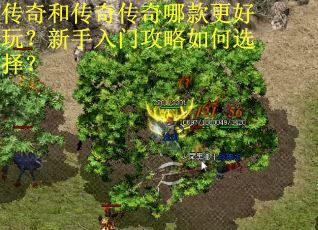 传奇和传奇传奇哪款更好玩？新手入门攻略如何选择？