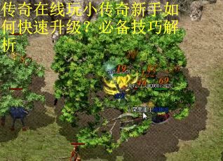 传奇在线玩小传奇新手如何快速升级？必备技巧解析