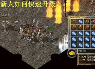 新人如何快速升级？