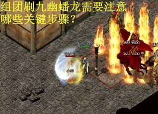 组团刷九幽蟠龙需要注意哪些关键步骤？