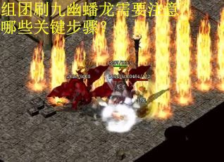 组团刷九幽蟠龙需要注意哪些关键步骤？