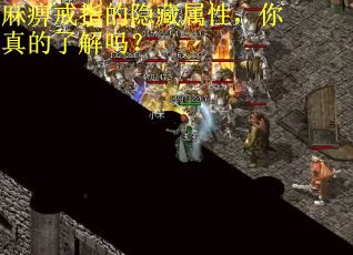 麻痹戒指的隐藏属性，你真的了解吗？